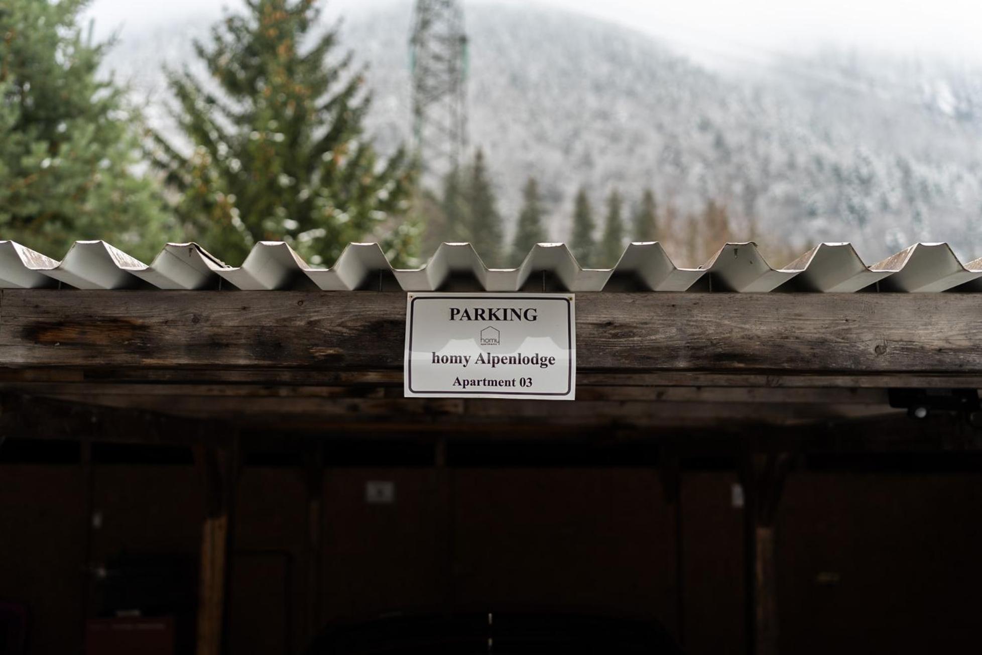 Homy Alpenlodge Innerbraz Экстерьер фото